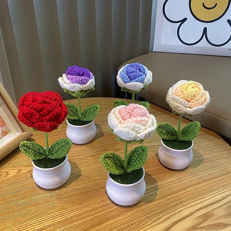1/2/4Pcs DIY Handwoven Mini Po - огляд і ціна Home Office Depot